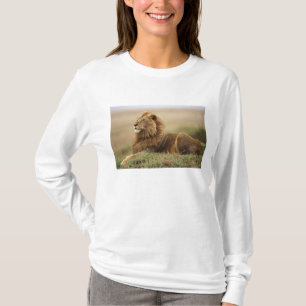 Kenia, Masai Mara Mannelijke leeuw T-shirt