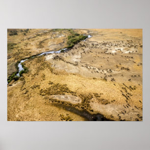 Kenia: Masai Mara Nationaal Reservaat, Mara Poster