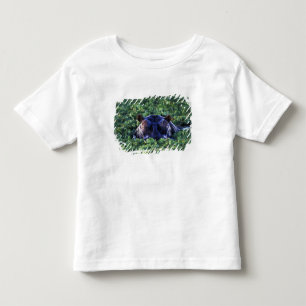 Kenia, Masai Mara National Reservaat. Kinder Shirts
