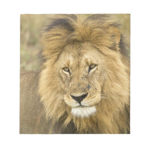 Kenia Masai Mara Notitieblok