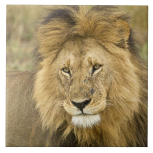 Kenia Masai Mara Tegeltje