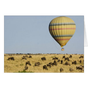 Kenia, Masai Mara. Toeristen varen met een heteluc