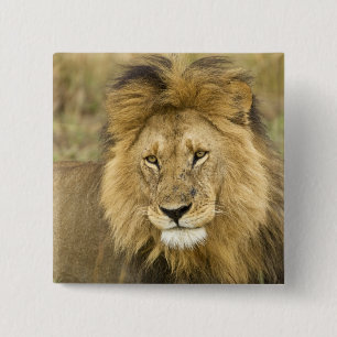Kenia Masai Mara Vierkante Button 5,1 Cm