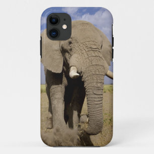 Kenia: Nationaal park Amboseli, mannelijke olifant iPhone 11 Hoesje