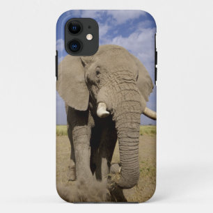 Kenia: Nationaal park Amboseli, mannelijke olifant iPhone 11 Hoesje