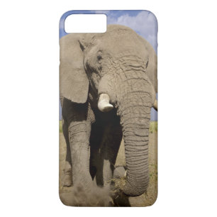 Kenia: Nationaal park Amboseli, mannelijke olifant iPhone 8 Plus / 7 Plus Hoesje