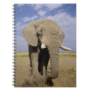 Kenia: Nationaal park Amboseli, mannelijke olifant Notitieboek