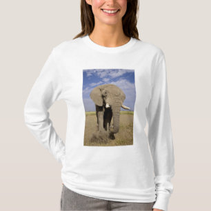 Kenia: Nationaal park Amboseli, mannelijke olifant T-shirt