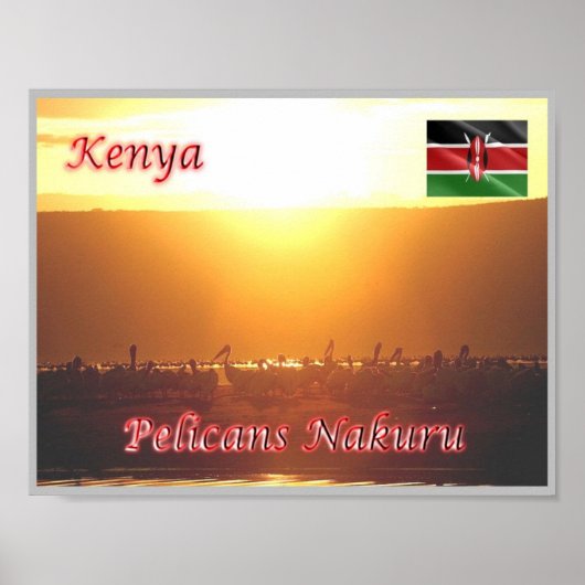 Kenia - Pelicans Nakuru - Poster (Voorkant)