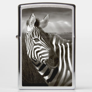Kenia. Zwart & wit van zebra en vlakte.