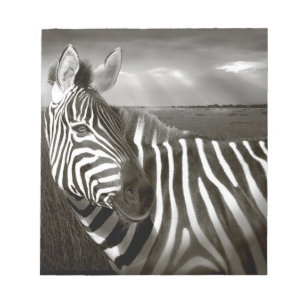 Kenia. Zwart & wit van zebra en vlakte. Notitieblok