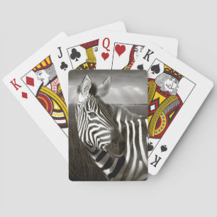 Kenia. Zwart & wit van zebra en vlakte. Pokerkaarten