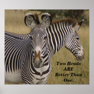 Keniaanse zebra's twee hoofden zijn beter dan één  poster