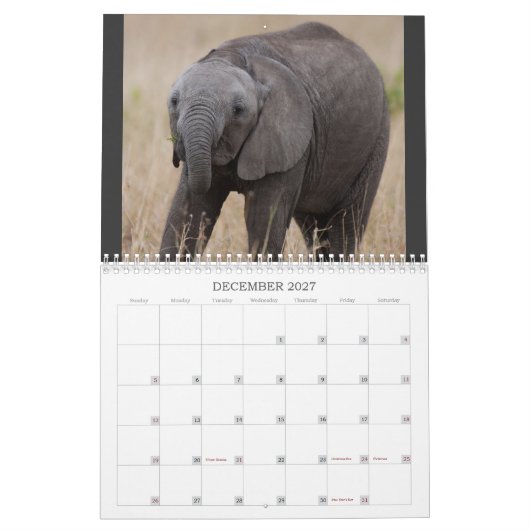 Kenia's Big 5 Kalender (Dec 2027)