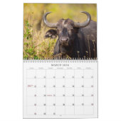 Kenia's Big 5 Kalender (Mar 2026)