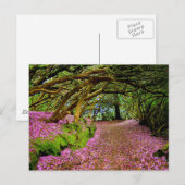 Kenmare Fairy Road Briefkaart (Voorkant / Achterkant)