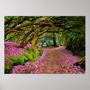 Kenmare Rhododendron Tunnel - De.. - Gepersonalise Poster