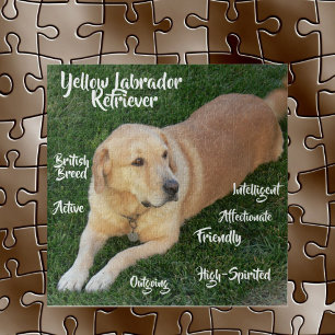 Kenmerken van de gele Labrador Retriever spel Legpuzzel