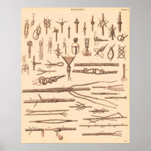 kennis en rijping poster