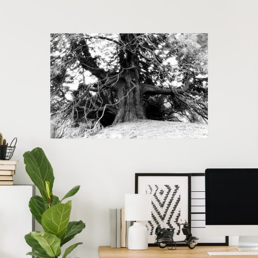 Kennis Poster (Thuiskantoor)