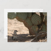 Kenny's ritter briefkaart (Voorkant / Achterkant)