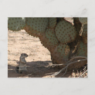 Kenny's ritter briefkaart