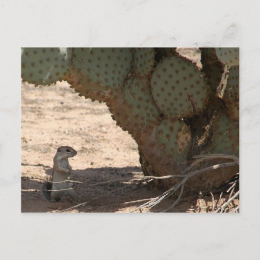 Kenny's ritter briefkaart (Voorkant)