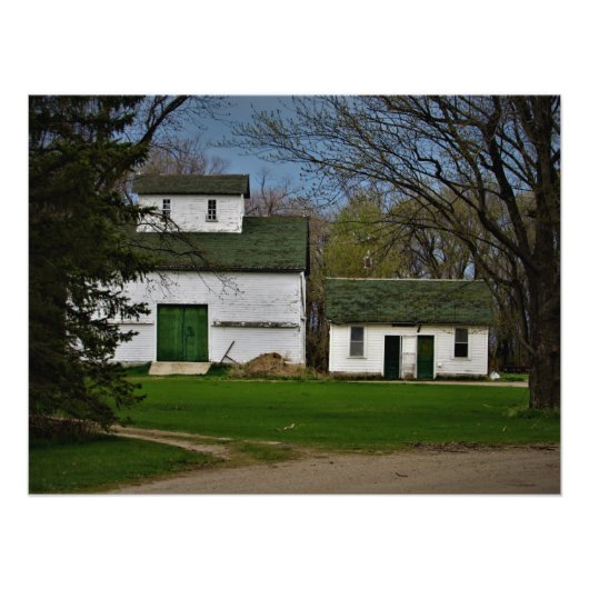 Kent Green Foto Afdruk (Voorkant)