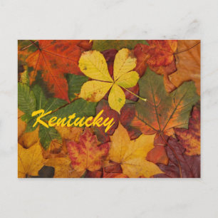 Kentucky Autumn Leaves Briefkaart