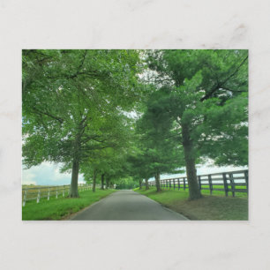 Kentucky Bluegrass briefkaart
