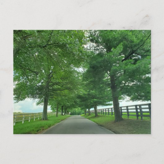 Kentucky Bluegrass briefkaart (Voorkant)