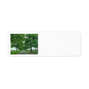Kentucky Bluegrass Etiket