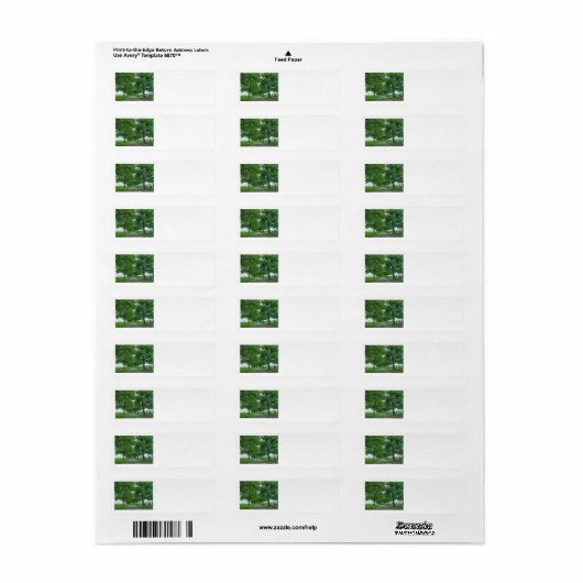Kentucky Bluegrass Etiket (Full Sheet)