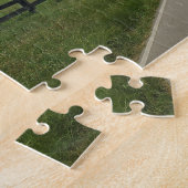 Kentucky bluegrass puzzel (Zijkant)
