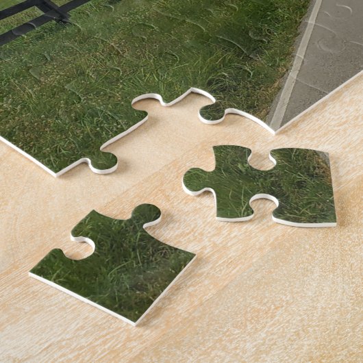 Kentucky bluegrass puzzel (Zijkant)