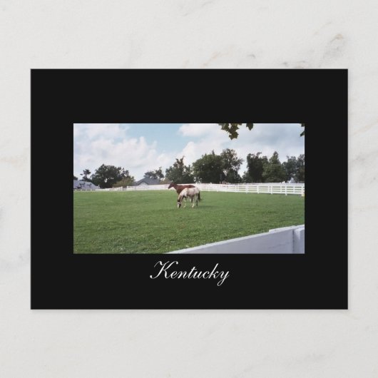 Kentucky Briefkaart (Voorkant)