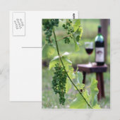 Kentucky Druiven Ansichtkaart Briefkaart (Voorkant / Achterkant)