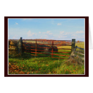 Kentucky Fall