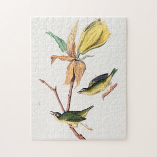 Kentucky Fly-Catching Warbler Birds Illustration Legpuzzel
