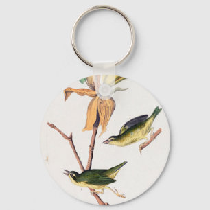 Kentucky Fly-Catching Warbler Birds Illustration Sleutelhanger
