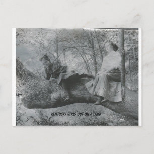 Kentucky Girls op een Limb Briefkaart