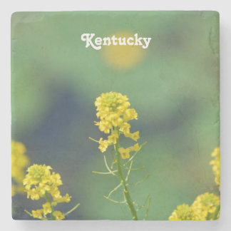 Kentucky Goldenrod Stenen Onderzetter