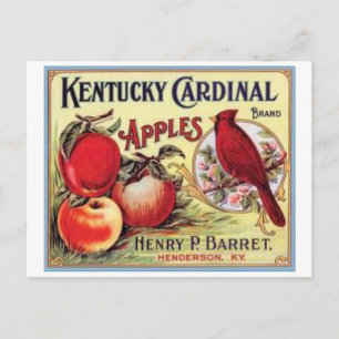 Kentucky Kardinaal Apples, Henry P Barret, Briefkaart