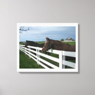 Kentucky Paard Land Canvas Afdruk