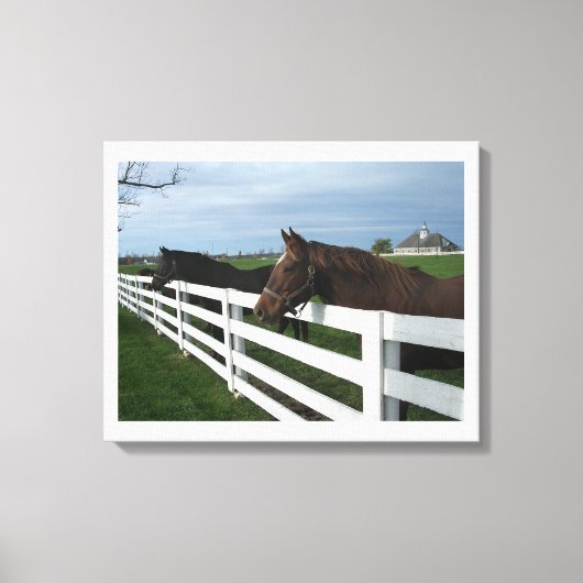Kentucky Paard Land Canvas Afdruk (Voorkant)