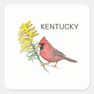 Kentucky state bird and flower vierkante sticker