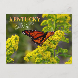 Kentucky State Flower: Goldenrod Briefkaart