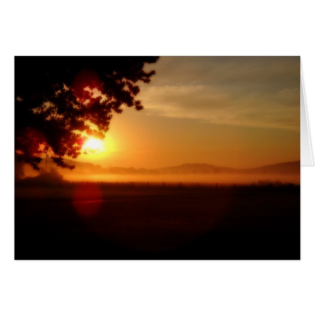 Kentucky Sunrise (Voorkant Horizontaal)