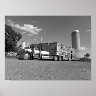 Kenworth A Model Livestock Hauler (zwart-wit) Poster