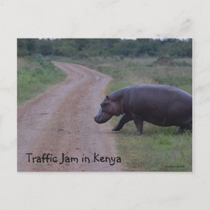 Kenya Africa Traffic Jam Hippo Briefkaart